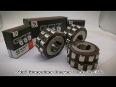 Koyo 612 0608 YSX Nylon Cage Roller Bearing 6120608YSX Excentrisch lager