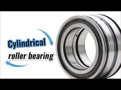 SL045010-D-PP Volledig complement dubbelrijig SL045010PP cilindrische rollager