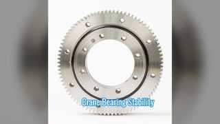 Zwaar uitgevoerd kraanzwenklager XA140753N