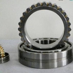 Superprecieze spindellagers van cilindrisch type N1015MRKRCC1P4 NSK rollager 75x115x20 mm