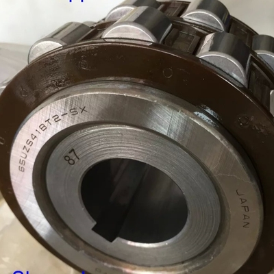 65UZS418T2X-SX-87 Cylindrisch rollagers met buizen 65UZS418 Nylon kooi excentrisch lager