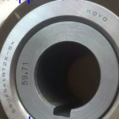 65UZS418T2X-SX-87 Cylindrisch rollagers met buizen 65UZS418 Nylon kooi excentrisch lager