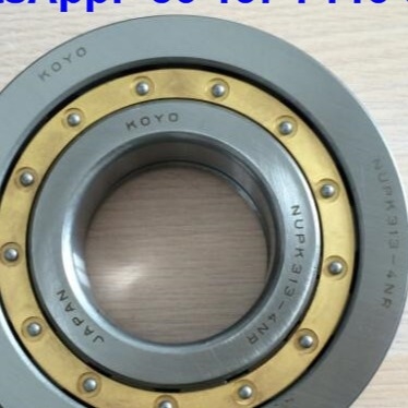 NUP313-4N Cylindrische rollagers NUPK313-4NRS02C3 Rollagers met snapring