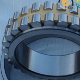 NSK GCR-15 P5 P4 Dubbele rij rollenlagers NN3009MBKR voor rotsenboormachines