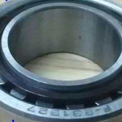 F-231927 Versnellingsbak Automotive Lagers / Cylindrisch Rollagers met Flens 29x48x18.15/16.2mm